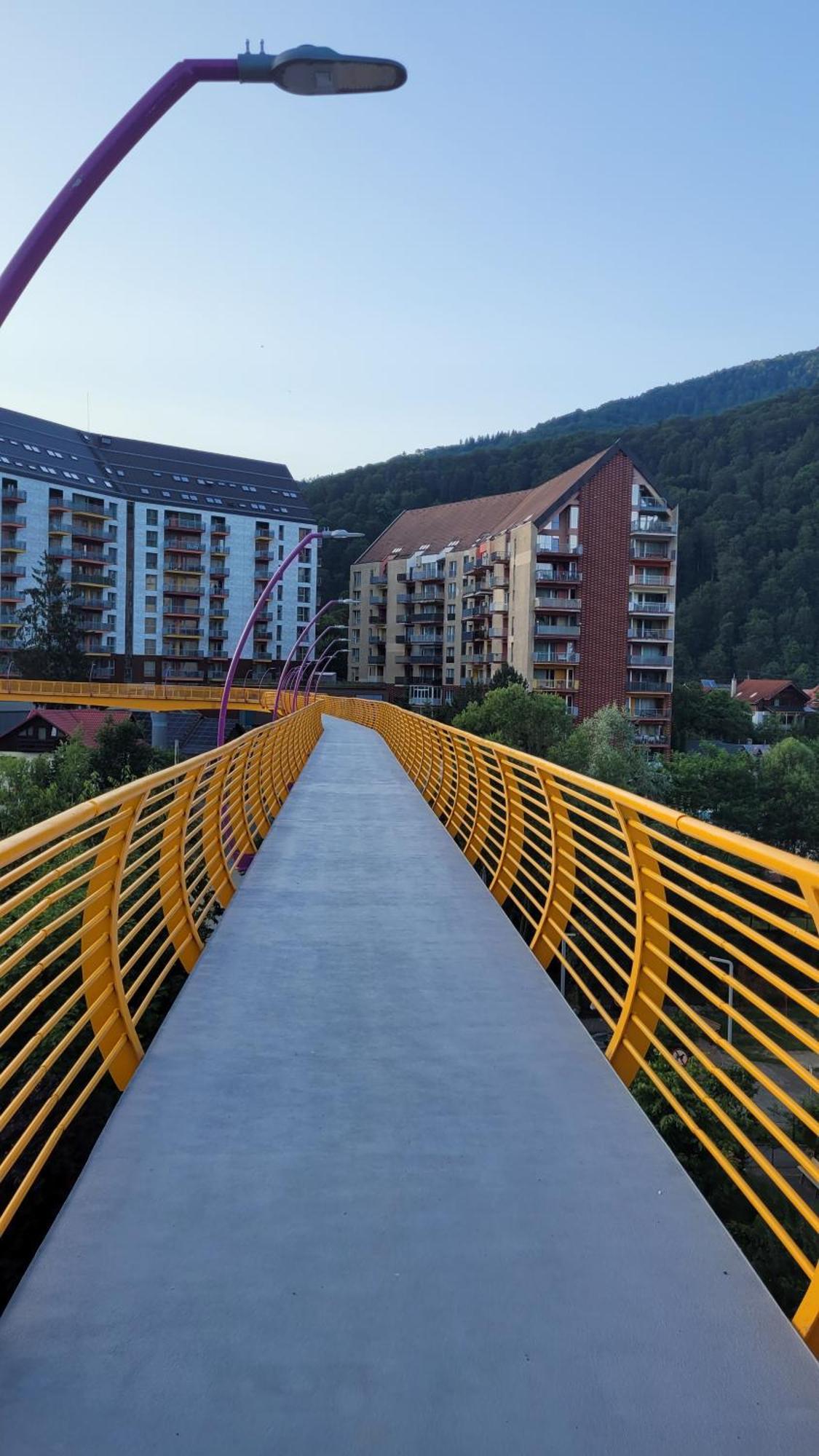 Belleview Family Apartment Sinaia Dış mekan fotoğraf